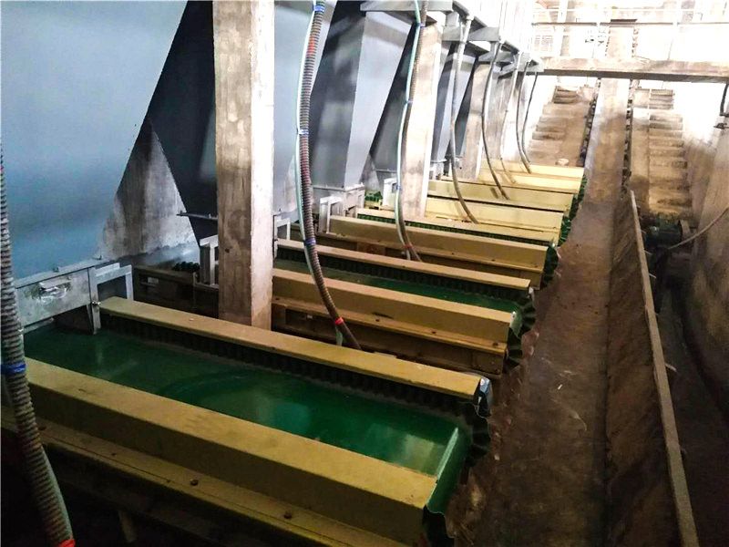 定量給料機現(xiàn)場圖片